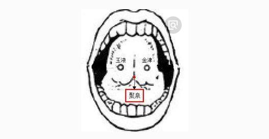 聚泉穴解析