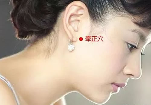 牵正穴位的作用