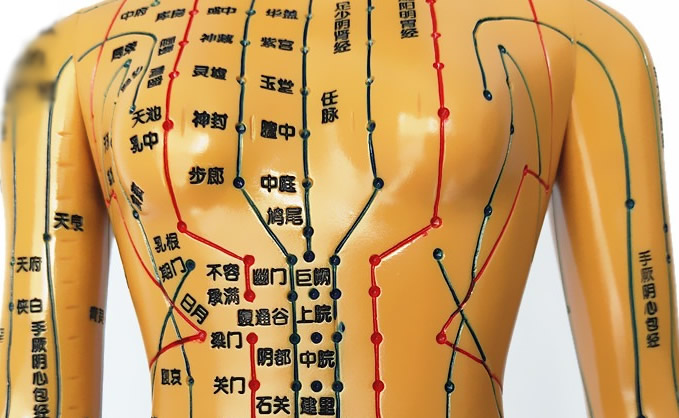 胸部穴位