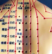 背部穴位多张高清彩图