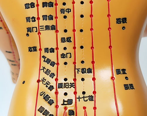 腰部穴位