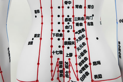 腰部穴位图