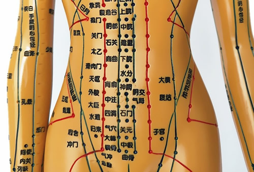 腹部穴位