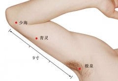 极泉穴准确穴位图和功效作用