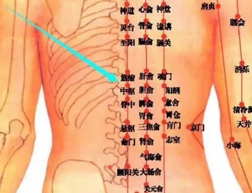 中枢穴的功效作用