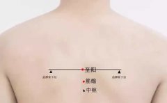 筋缩穴准确穴位图和功效作用