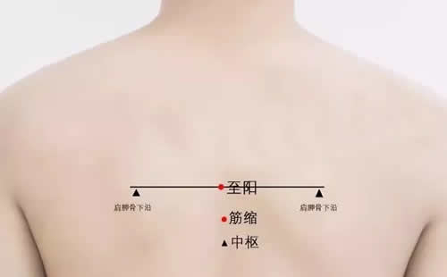 筋缩穴准确穴位图和功效作用