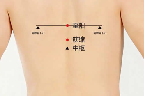 至阳穴准确穴位图和功效作用