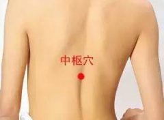 中枢穴准确穴位图和功效作用