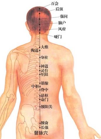 筋缩穴位的作用