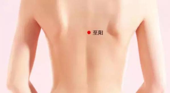 至阳穴位的功效作用
