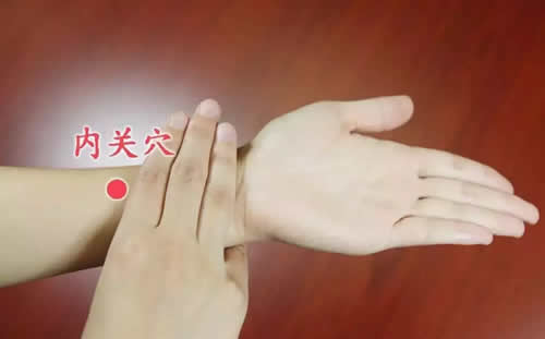 内关穴的准确位置图及功效作用