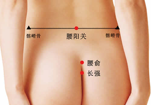 长强穴的准确位置图