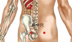 环中穴准确穴位图及功效作用