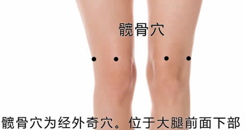髋骨穴位的作用
