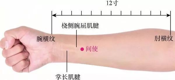 间使穴位准确位置图