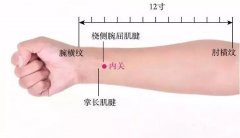 内关穴的准确位置图及功效作用