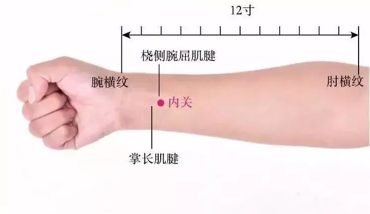 内关穴的准确位置图