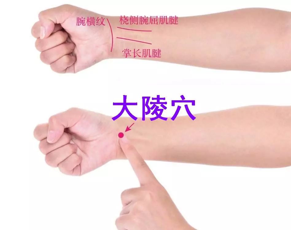 大陵穴的功效作用
