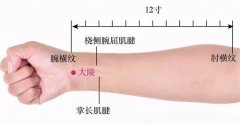 大陵穴的准确位置图和功效作用