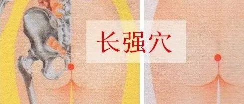 长强穴的准确位置图和功效作用