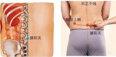 腰阳关的准确位置图和功效作用