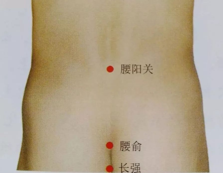 腰阳关的功效作用