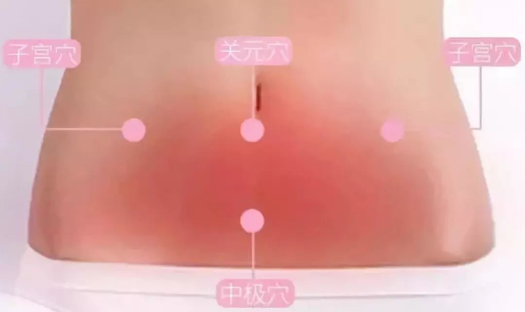 中极穴的准确穴位图