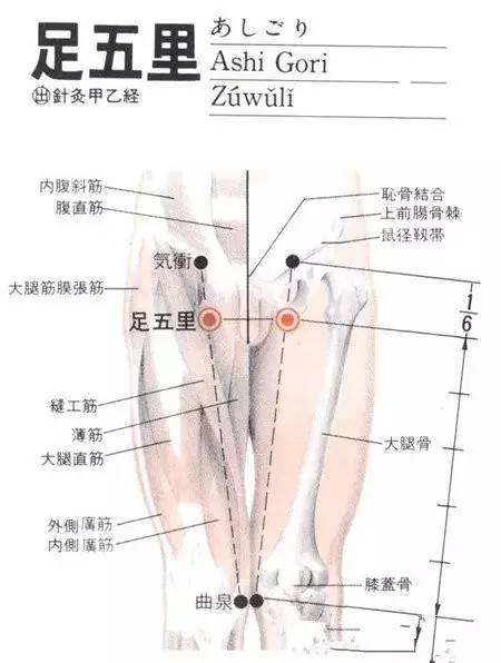 足五里的功效作用