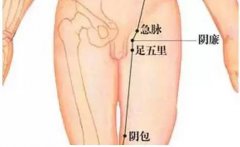 阴廉穴的准确穴位图及功效作用