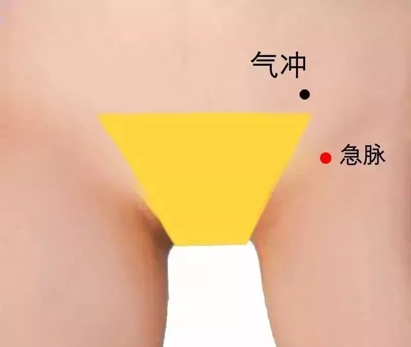 急脉穴的准确穴位图