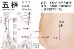 <b>五枢穴的准确穴位图及功效作用</b>