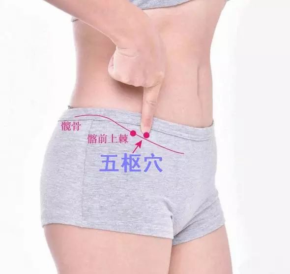 五枢穴的准确穴位图
