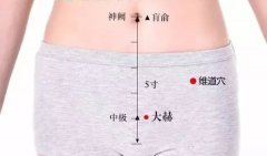 <b>维道穴的准确穴位图及功效作用</b>