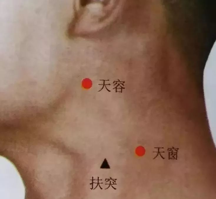 天窗穴的功效作用