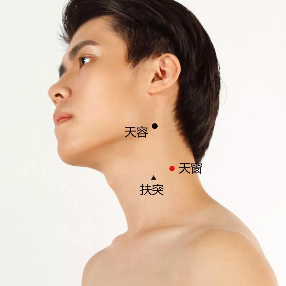 天窗穴的准确穴位图