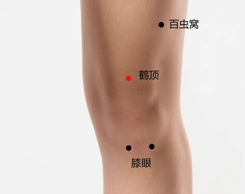 鹤顶穴的功效作用