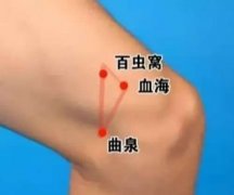 百虫窝准确位置图及功效作用