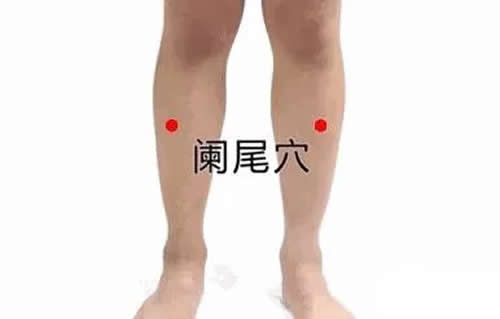阑尾穴在哪准确穴位图及功效