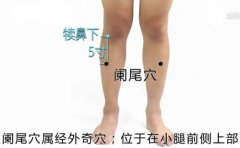 阑尾穴在哪准确穴位图及功效