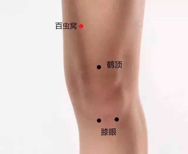 百虫窝准确位置图