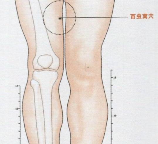 百虫窝的功效作用