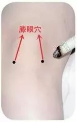 膝眼穴