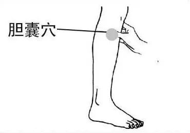 胆囊穴