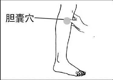 胆囊穴在哪