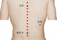 痞根穴的作用及在哪里