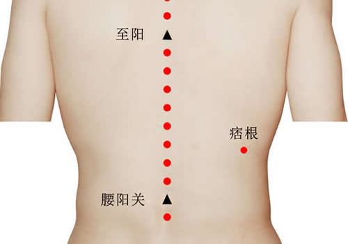 痞根穴的作用及在哪里