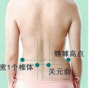 关元穴的功效作用