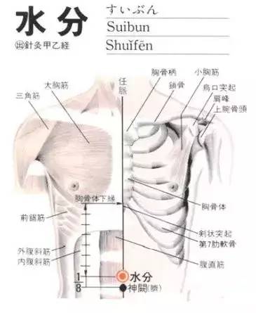 水分穴的准确位置图