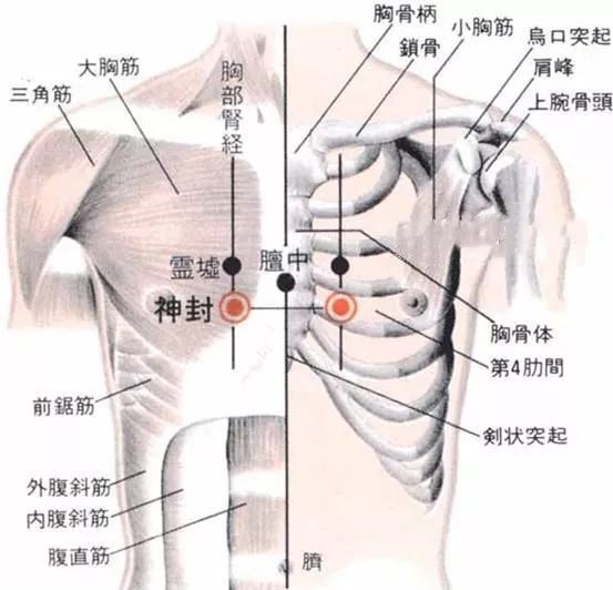 神封穴位的作用
